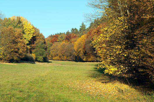 Autumn Impressions,Autumn,Autumn Blaetter