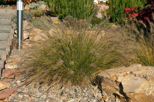 Lamp cleaner grass,stone garden