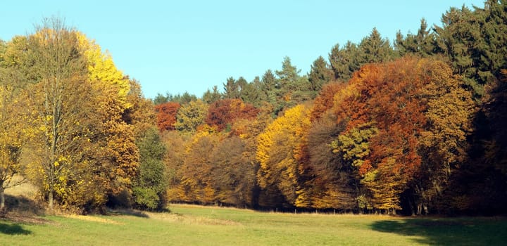 Autumn Impressions,Autumn,Autumn Blaetter