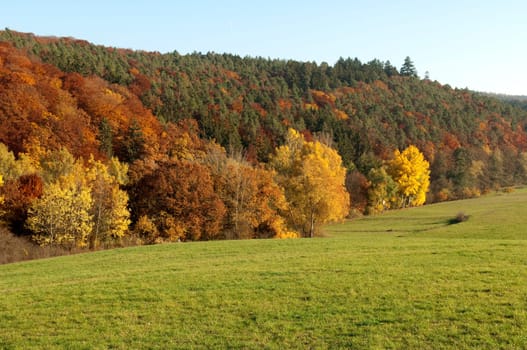 Autumn Impressions,Autumn,Autumn Blaetter