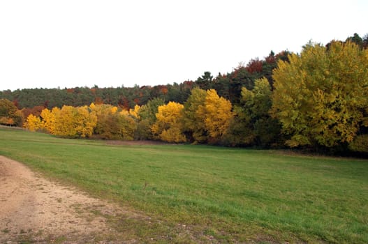 Autumn Impressions,Autumn,Autumn Blaetter