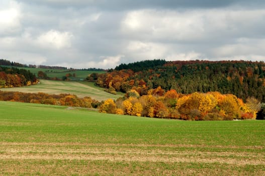Autumn Impressions,Autumn,Autumn Blaetter