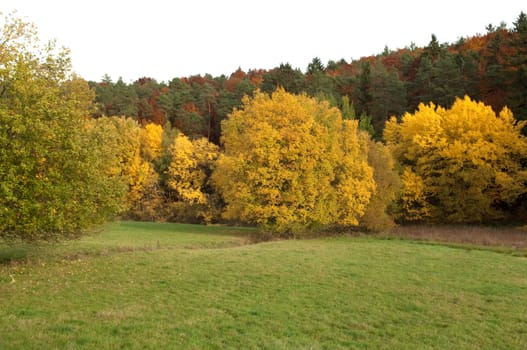 Autumn Impressions,Autumn,Autumn Blaetter