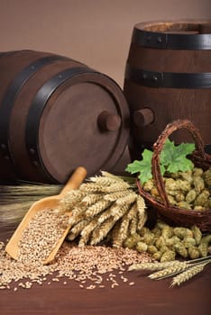 Two beer barrels with wheat,barley,hops and malt