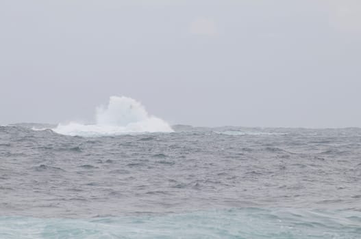 tossing sea on sao miguel