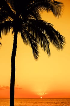 Golden tropical sunset