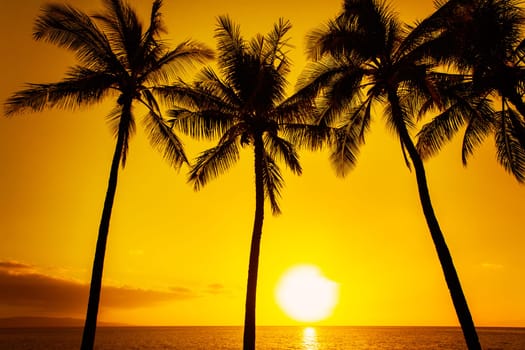 Golden tropical sunset
