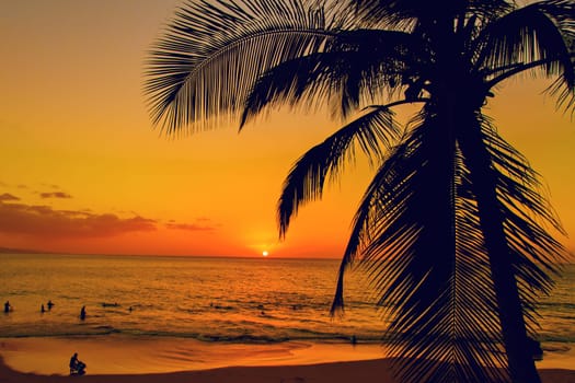 Golden tropical sunset