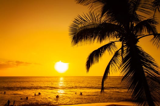 Golden tropical sunset