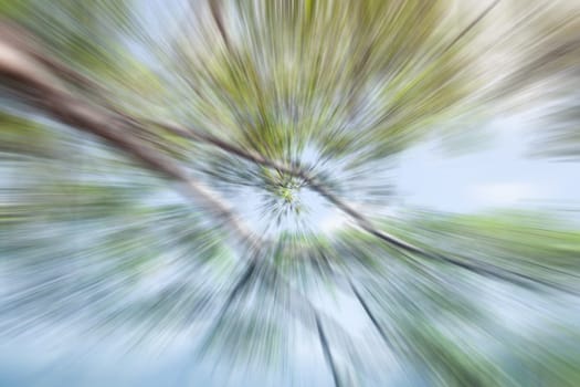 Abstract motion blur of branches background, stock photo