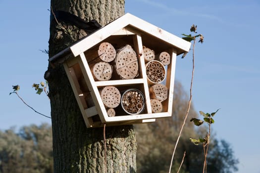 Solitary bee hotel is a shelter for different kind of insects