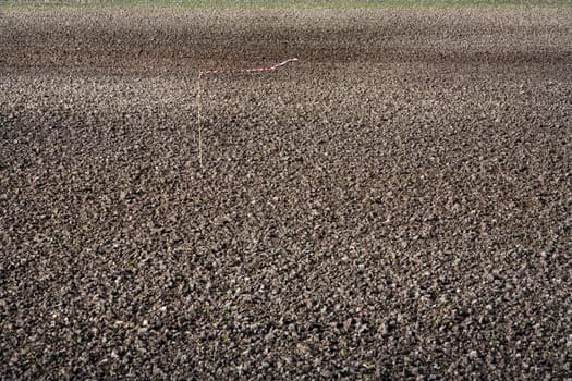 Plowed and just seeded field