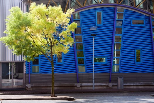 Tree in front of of a modern blue corrugated metal building