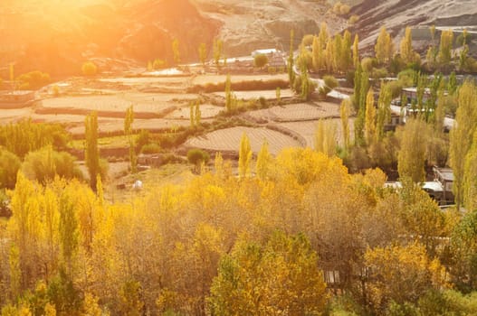 Beautiful landscape in small village at Leh during falls, Ladakh, India.