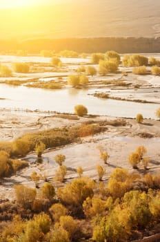 Indus River in sunrise view during falls season, Leh, Ladakh, Jammu and Kashmir, North India