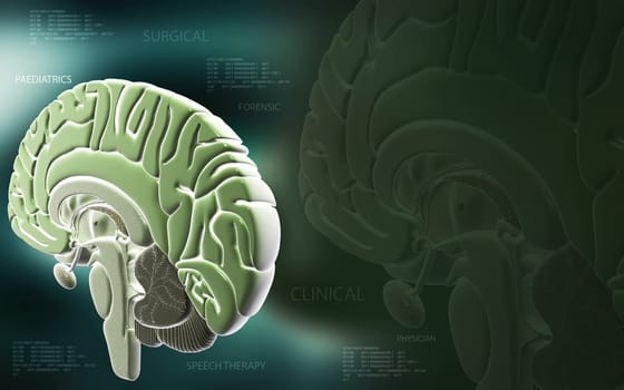 Digital illustration of brain in colour background