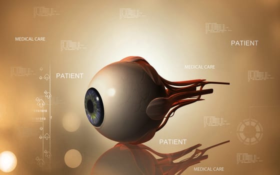 Digital illustration of eye in colour background