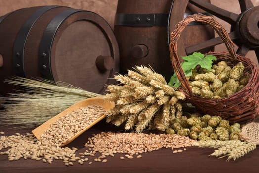 Two beer barrels with wheat,barley,hops and malt