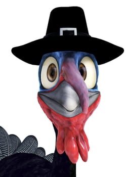 Closeup of a funny silly looking cartoon turkey wearing a pilgrim hat. White background.