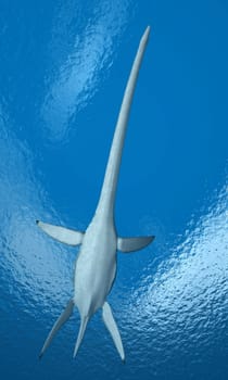 Computer-generated 3D illustration with the prehistoric marine reptile Plesiosaurus