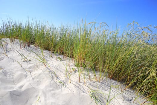 White sand dunes with grass and blue sky