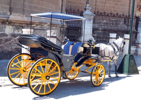 Traditional horse and carriage waiting for tourists