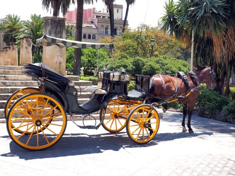 Traditional horse and carriage waiting for tourists