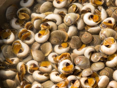 A background of mussels for sale at a market