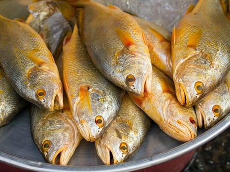 Fresh fish in the market ,Vietnam