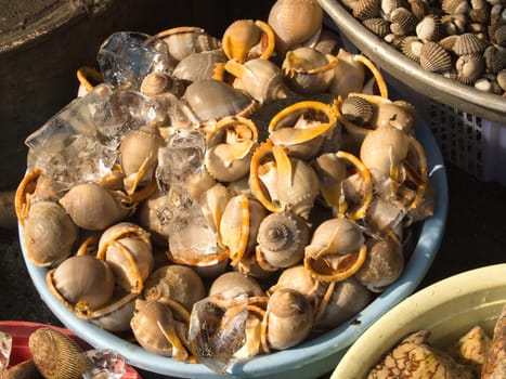A background of mussels for sale at a market