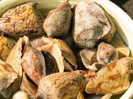 A background of mussels for sale at a market
