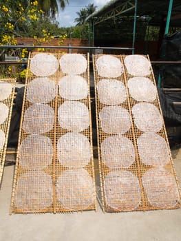 rice paper in mekong delta vietnam
