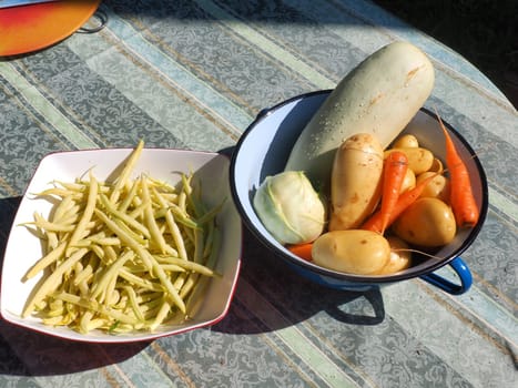 fresh picked vegetables in metal bucket