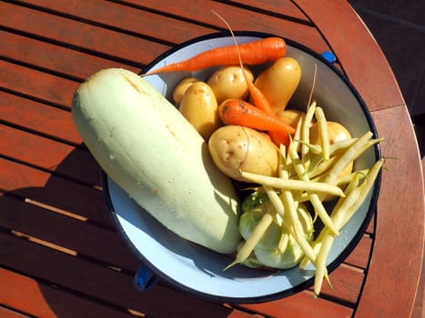 fresh picked vegetables in metal bucket