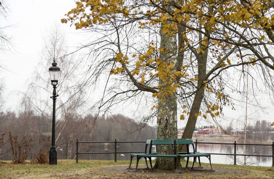 Benches around Aspen Tree