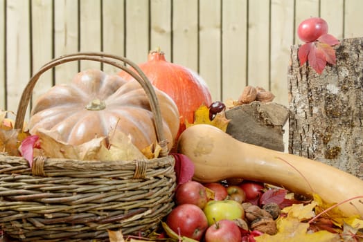 several pumpkins with red apples on autumn leaves
