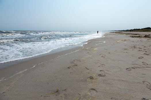 Individual wanders on the edge of the surf