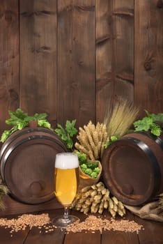 Two beer barrels with beer glass,wheat,barley,hops and malt