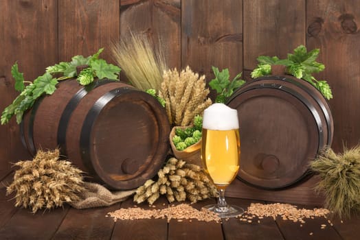 Two beer barrels with beer glass,wheat,barley,hops and malt