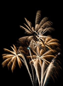 A single golden fireworks in colorful shades of orange, white and yellow which look like palms.