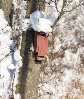 Red Birdhouse Covered in Snow sitting on a tree.