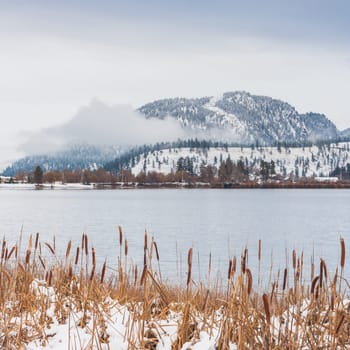 Landscape of Wood Lake in Winter, Oyama, British Columbia