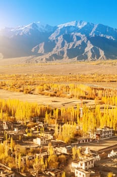 Beautiful sunlight in small village at Leh during falls, Ladakh, India.