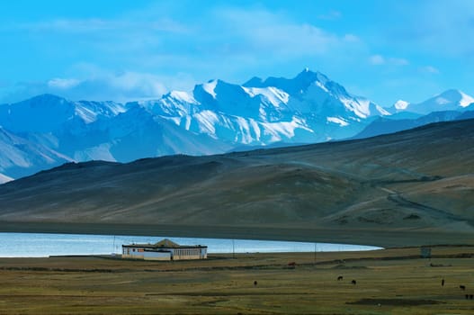Landscape of Tso Moriri or Lake Moriri, Ladakh, Changthang Plateau, Jammu and Kashmir, northern India.