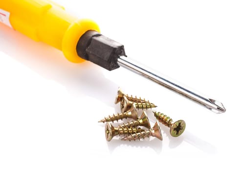 Screws and screwdriver isolated on white background.