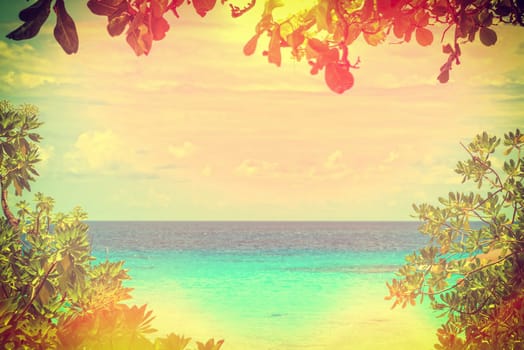 Beautiful natural landscape blue sky and sea have leaves and tree is a frame vintage style for background at Koh Miang Island during summer in Mu Ko Similan National Park, Phang Nga, Thailand