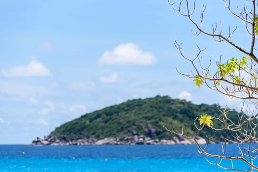 Beautiful natural landscape blue sky and sea under the tree at beach front of Koh Miang Island during summer in Mu Ko Similan National Park, Phang Nga Province, Thailand