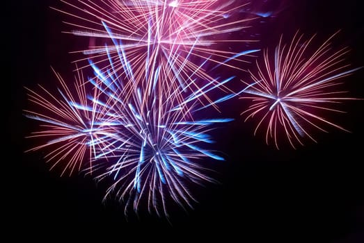 Colorful fireworks on the black sky background