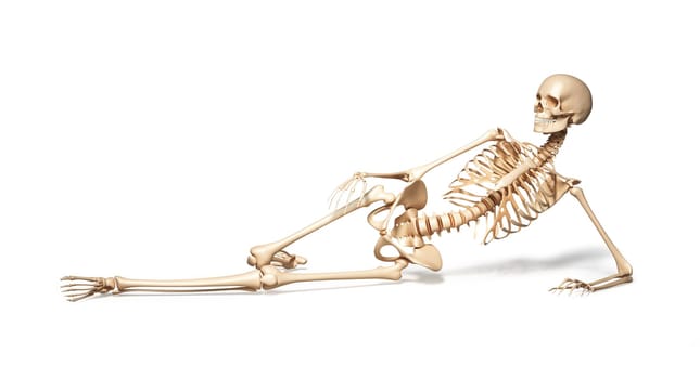 Skeleton of human female lying on floor. On white background. Clipping path included.