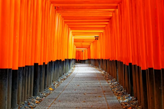 Fushimi Inari Shrine Torii temple in kyoto Japan